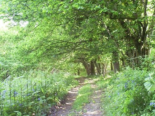 Lowertown Farm B&B Widecombe in the Moor Екстериор снимка