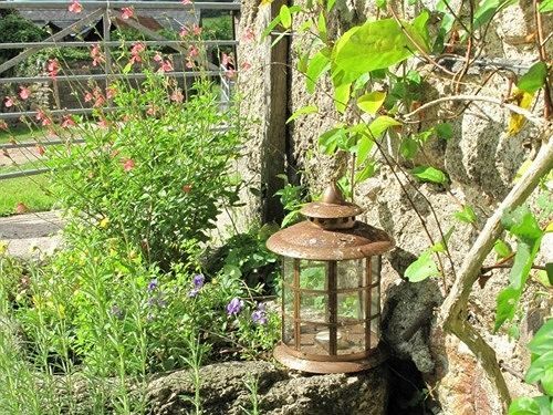 Lowertown Farm B&B Widecombe in the Moor Екстериор снимка